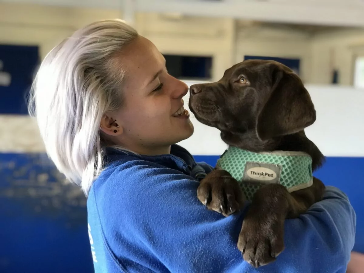 Doggy day care team member giving a puppy cuddles