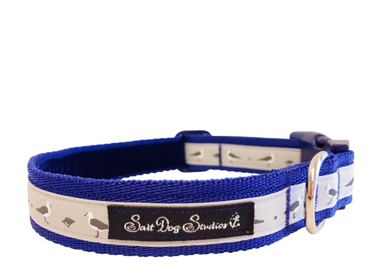Salt dog studios blue bird print dog collar