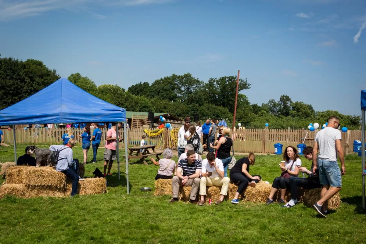 Dog owners enjoying parents day event in surrey