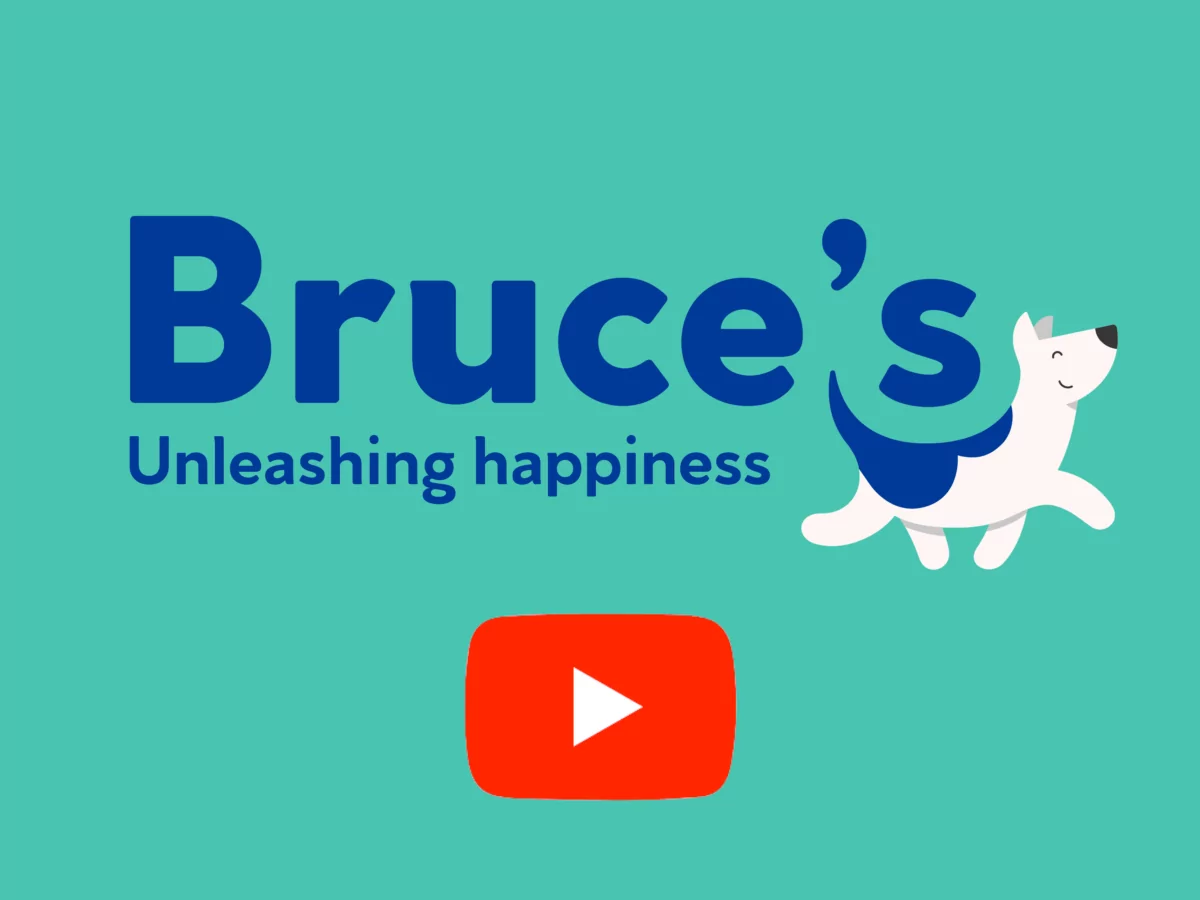 Bruce's doggy day care logo with youtube button