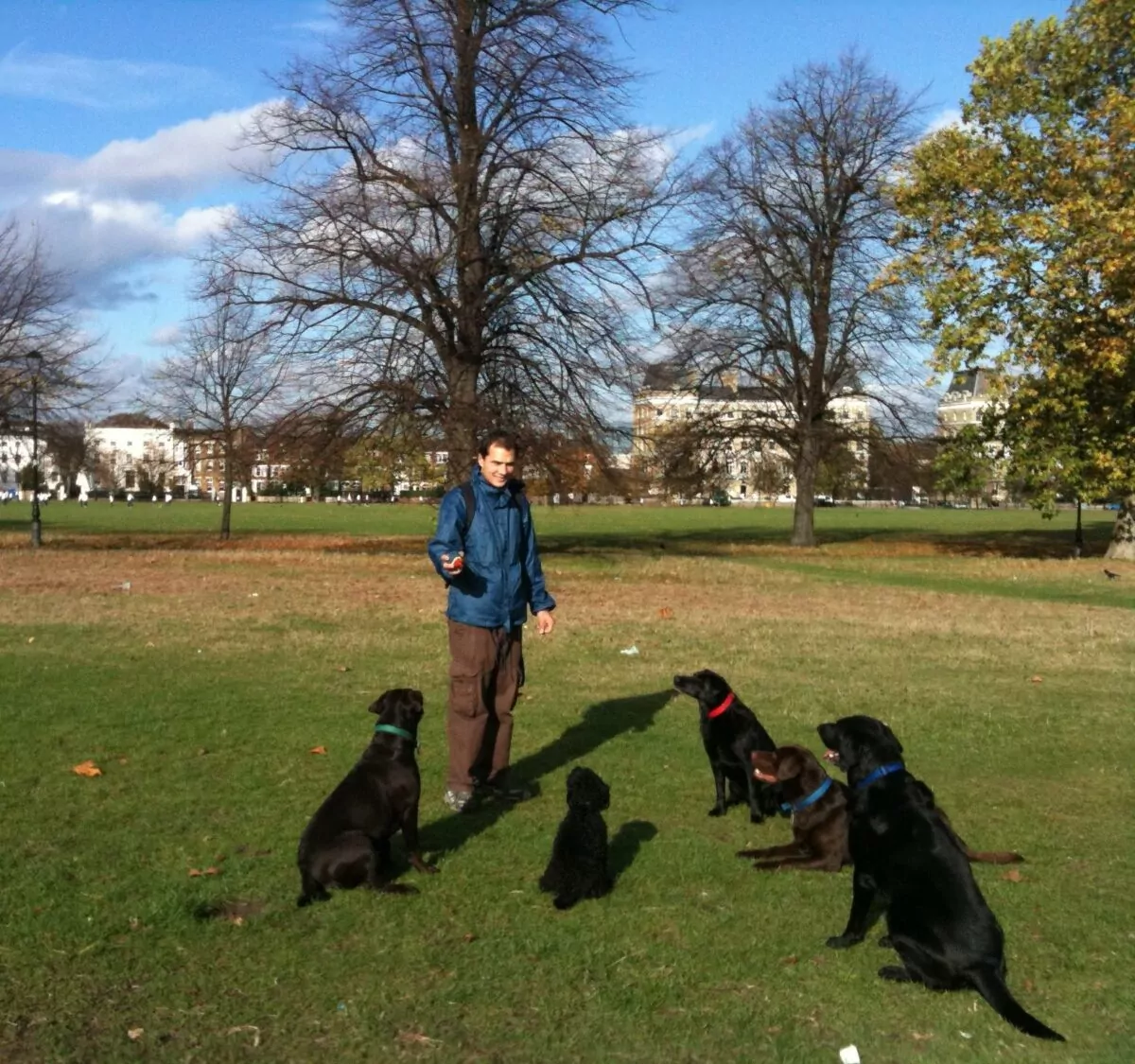 Bruce Casalis dog walking in Richmond park where Bruce's first began