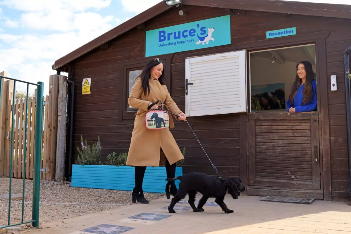 Dog owner and cocker spaniel puppy arriving at doggy day care greeted by team member