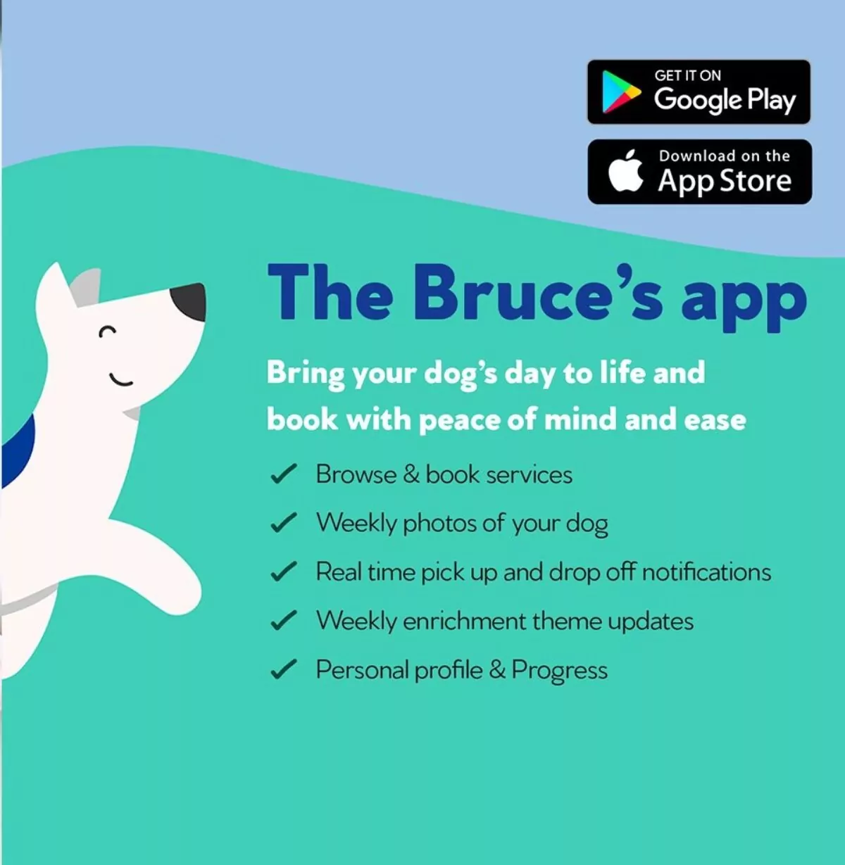 The bruces's doggy day care app benefits