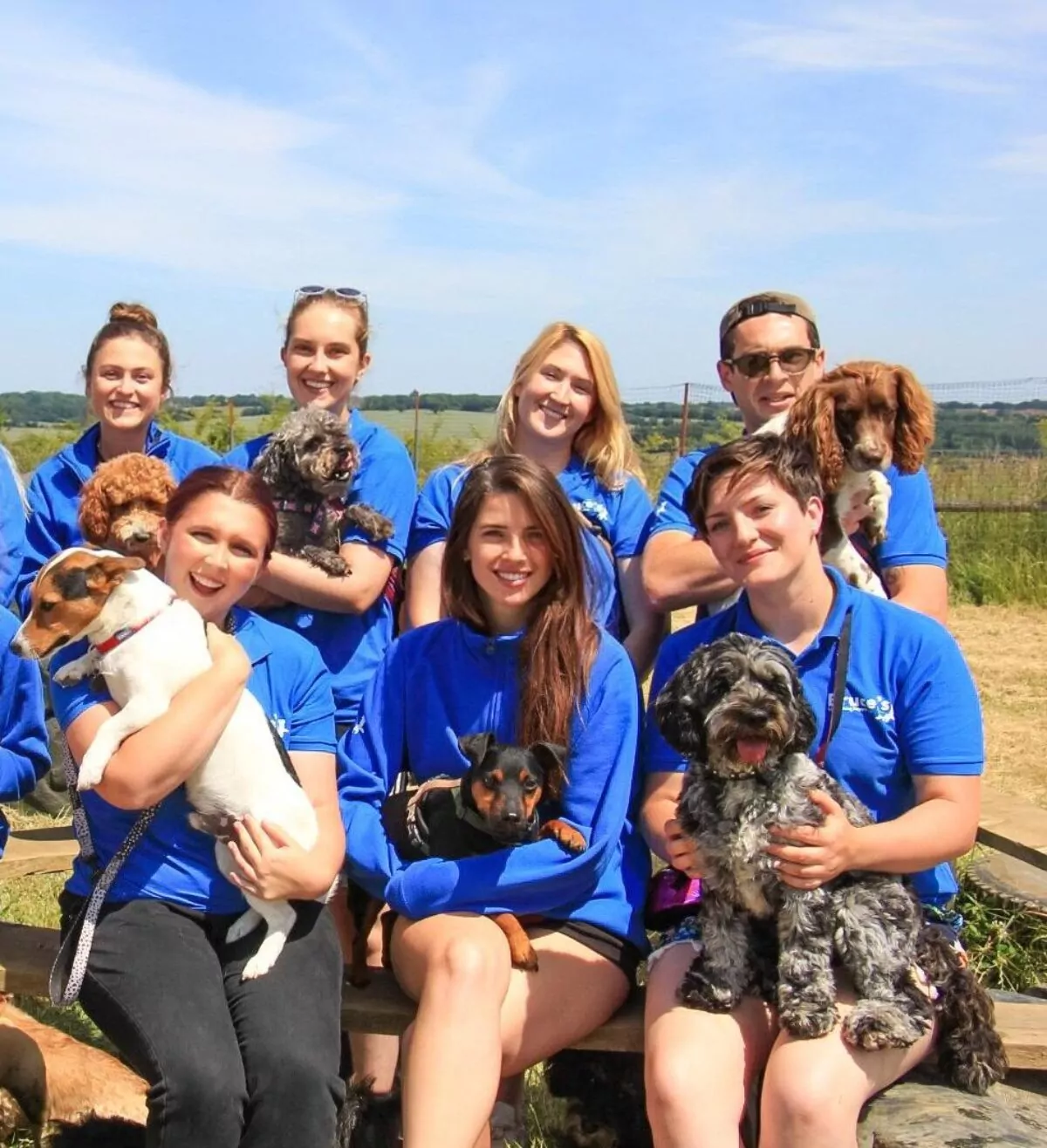 Team shot of our doggy day care carers and our dogs.