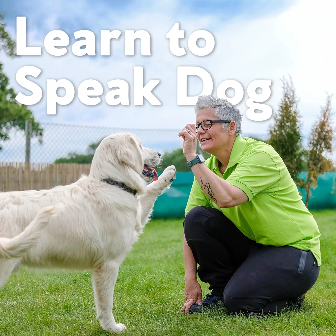 Learning to speak dog