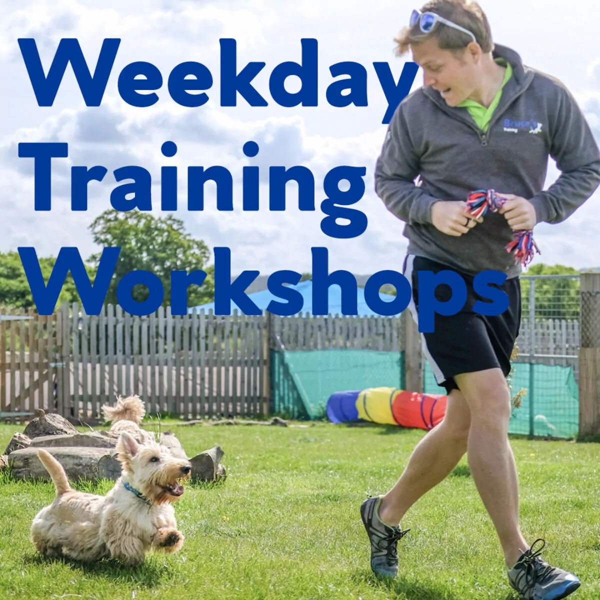 Weekday dog training workshops available. Dog Trainer with West Highland White Terrier