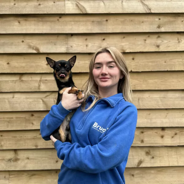 Doggy day care team member Ellie with her chihuahua