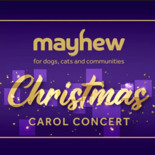 Mayhew Animal Charity Christmas Carol Concert